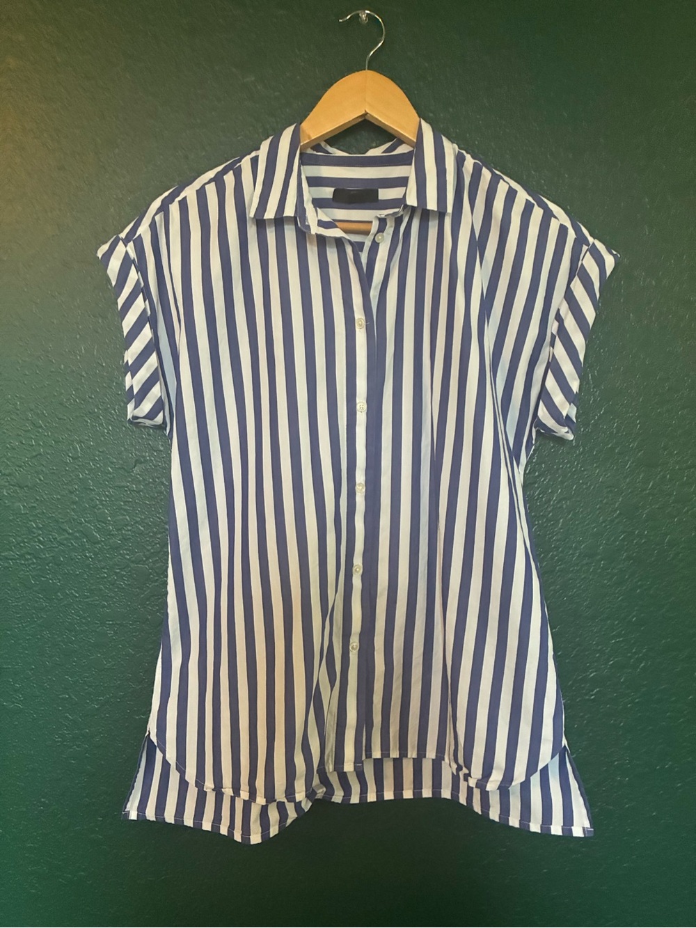 J. Crew Blue and White Vertical Stripe Short-Sleeve Button Shirt